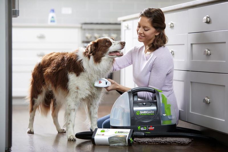 Bissell BarkBath Portable Dog Bath System