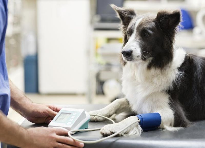 Blood Pressure Changes