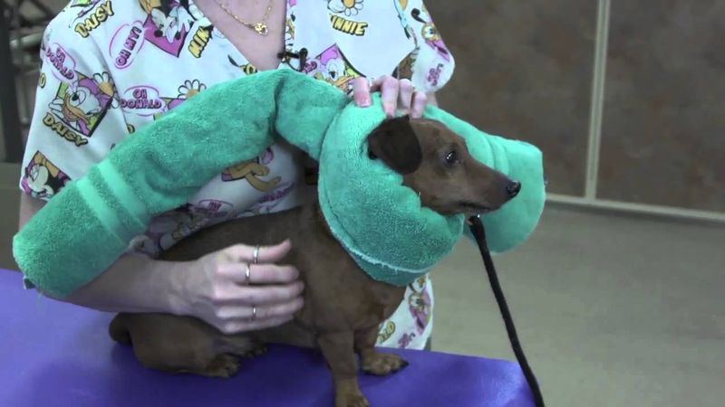 Physical Restraint with Towels