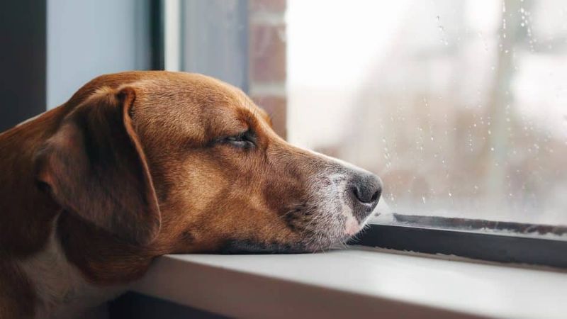 Being Left Alone