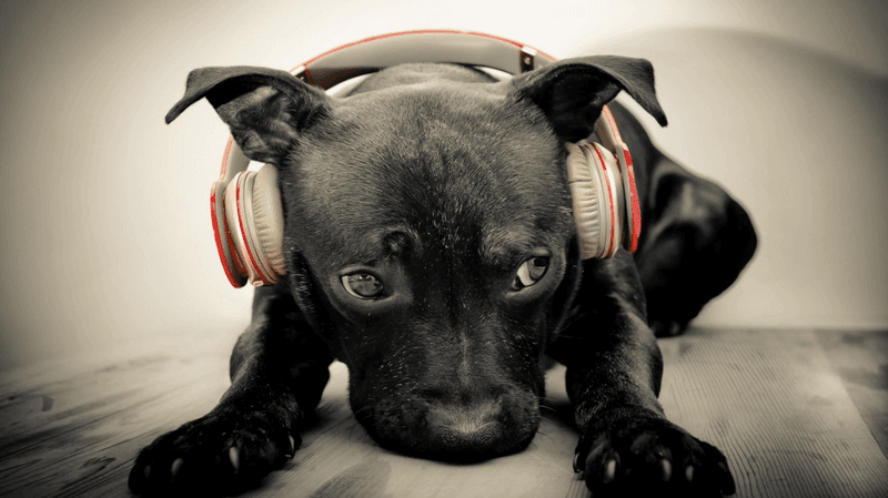 Music Therapy
