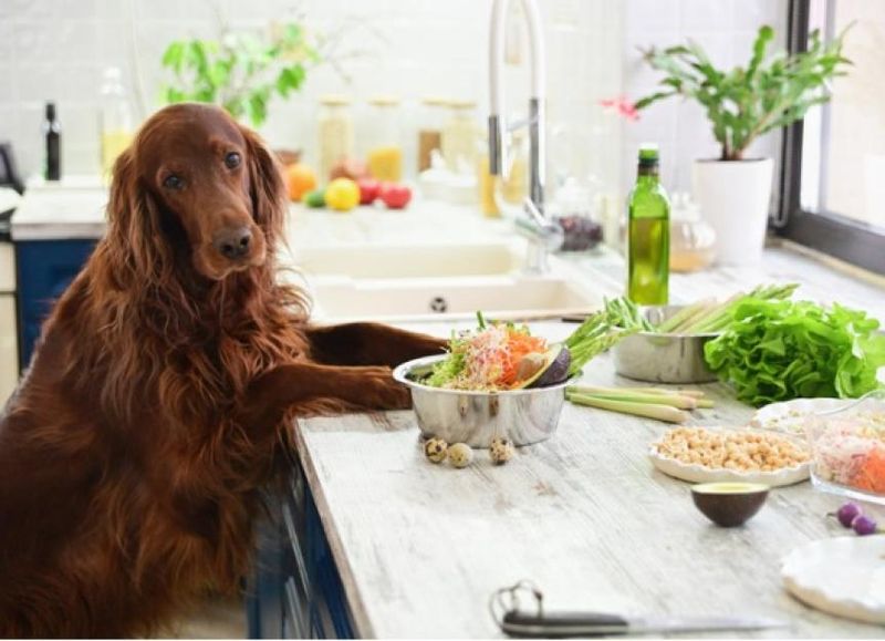 Home-cooked Meals