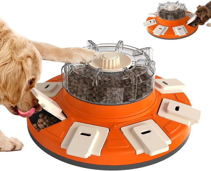 Interactive Pet Feeder