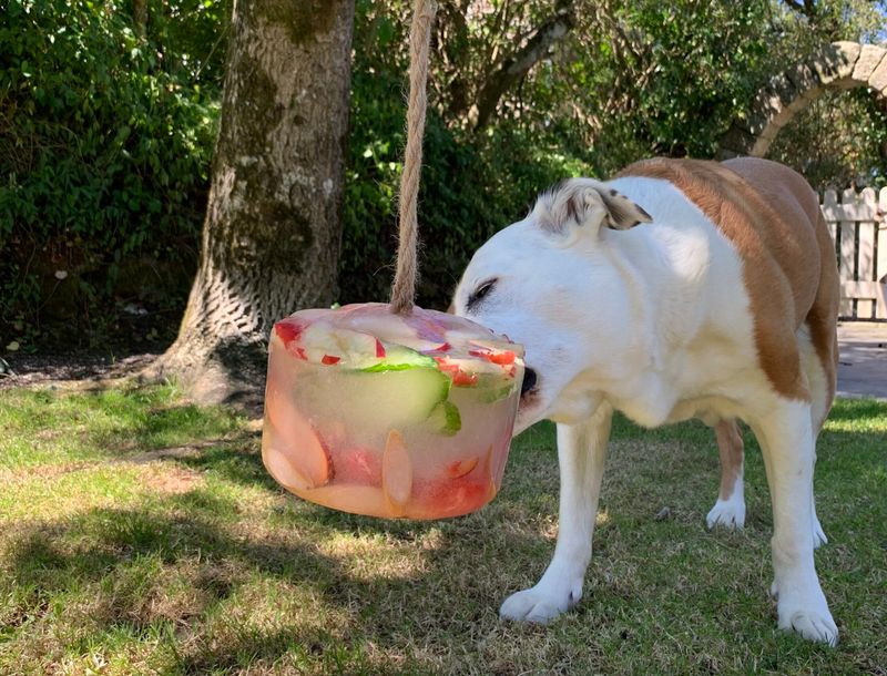 Interactive Treat Wall