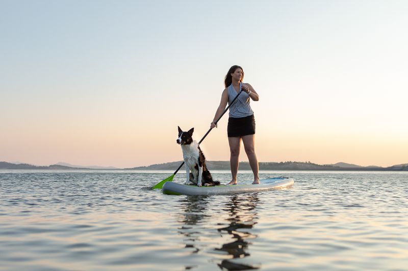 Paddleboarding with Pooch