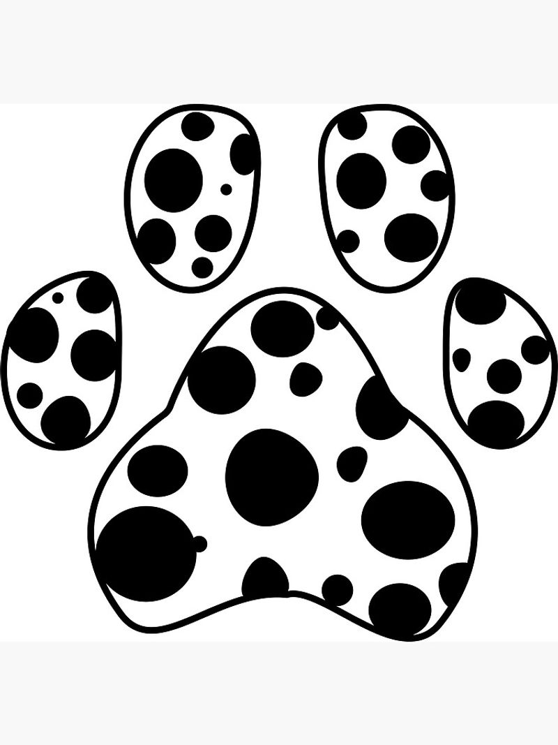 Unique Paw Prints