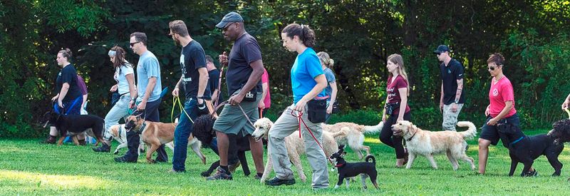 Dogs in Educational Workshops