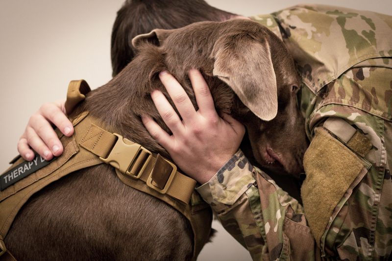 Canine-Assisted Mindfulness Sessions