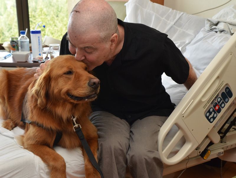 The Healing Power of Dogs