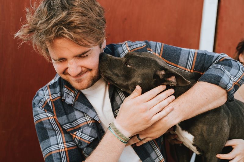Adopt Another Pet