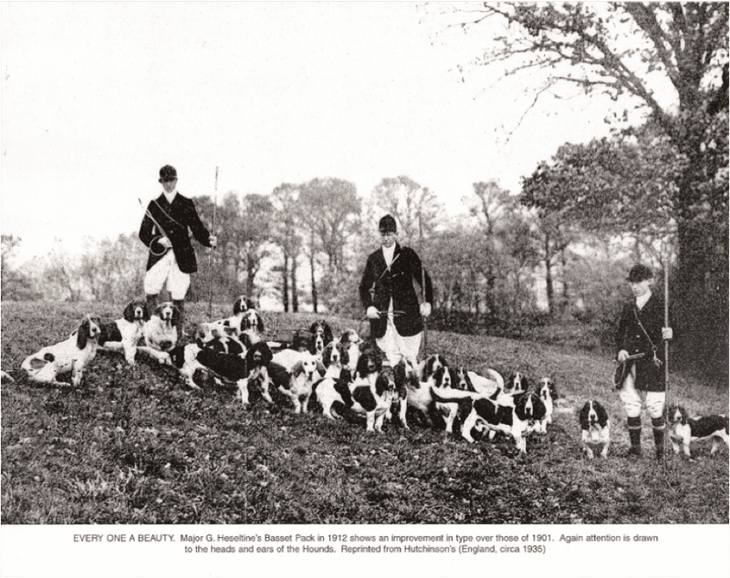 A History in Hunting