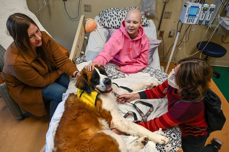Healing Comfort