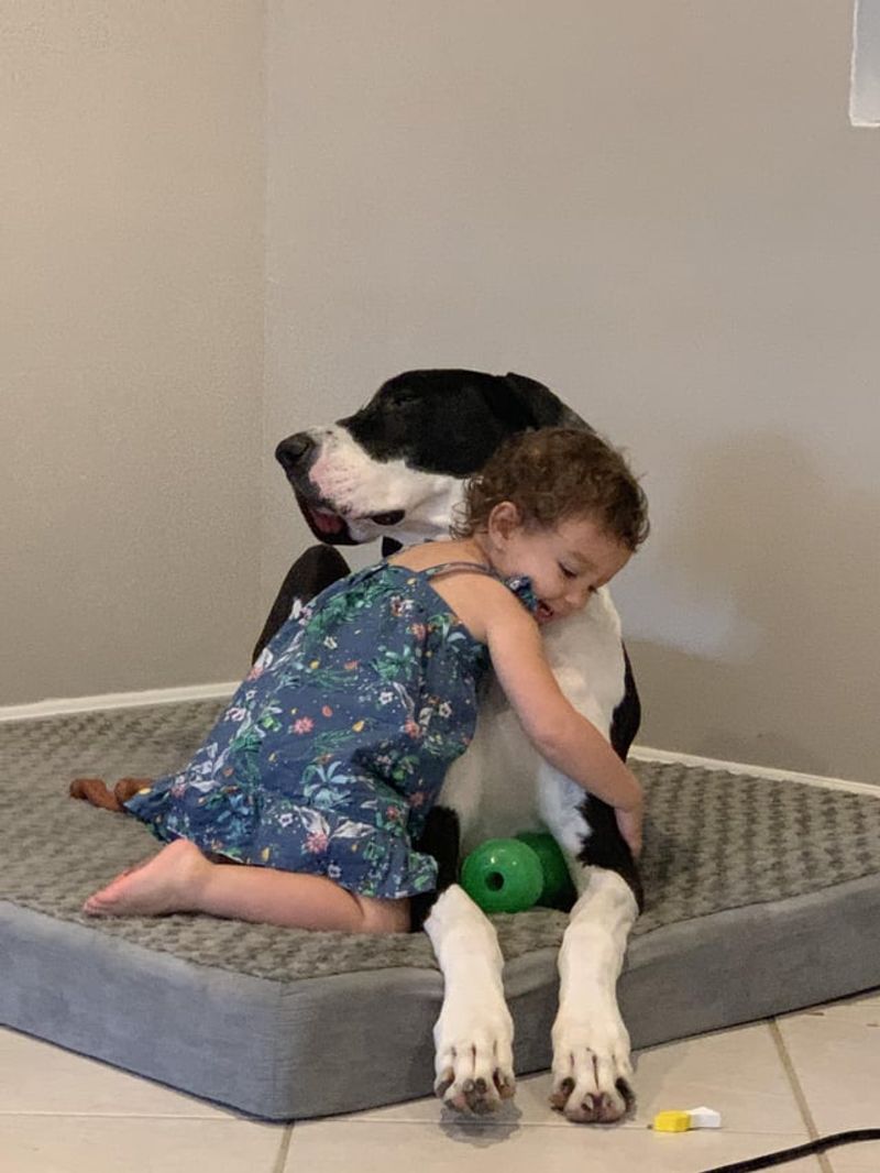Unconditional Love