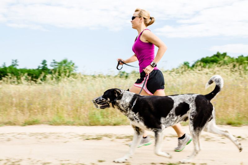 Physical Fitness Partner