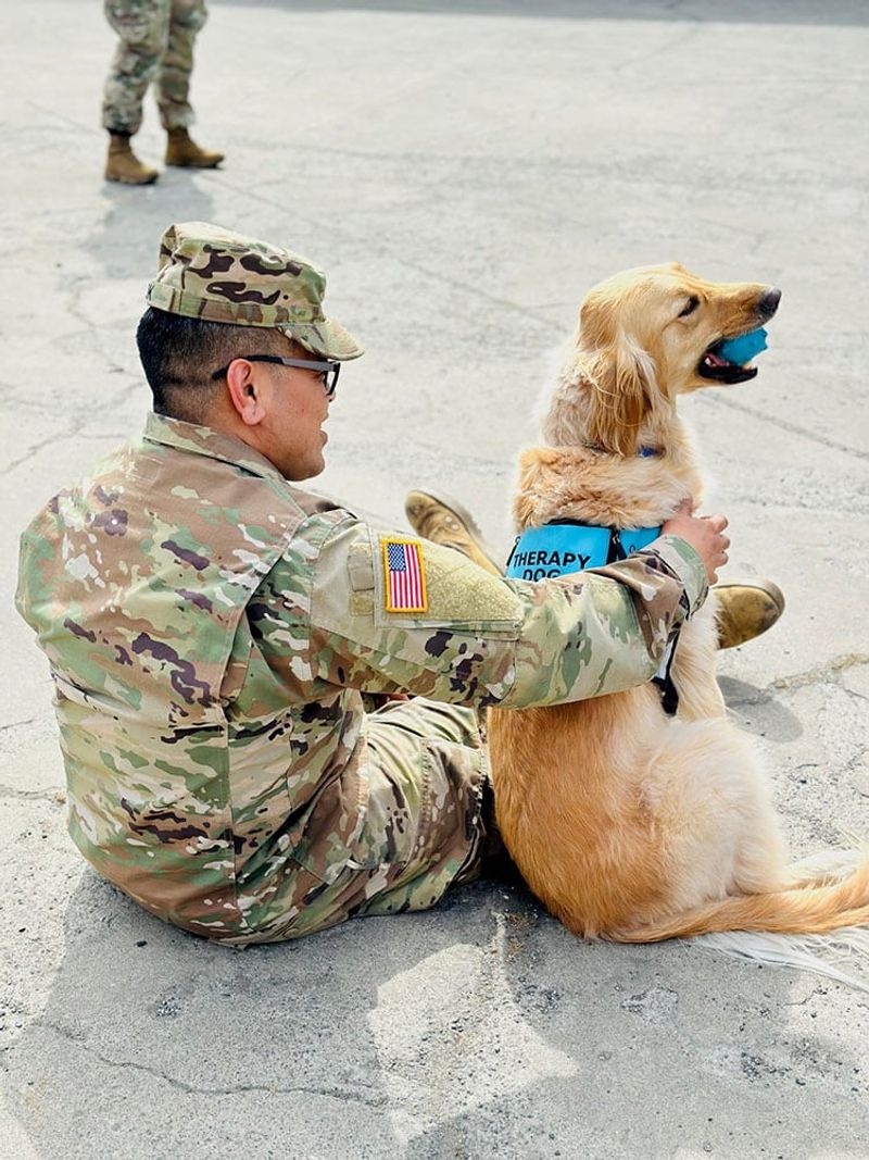 Companion Dogs in Group Therapy