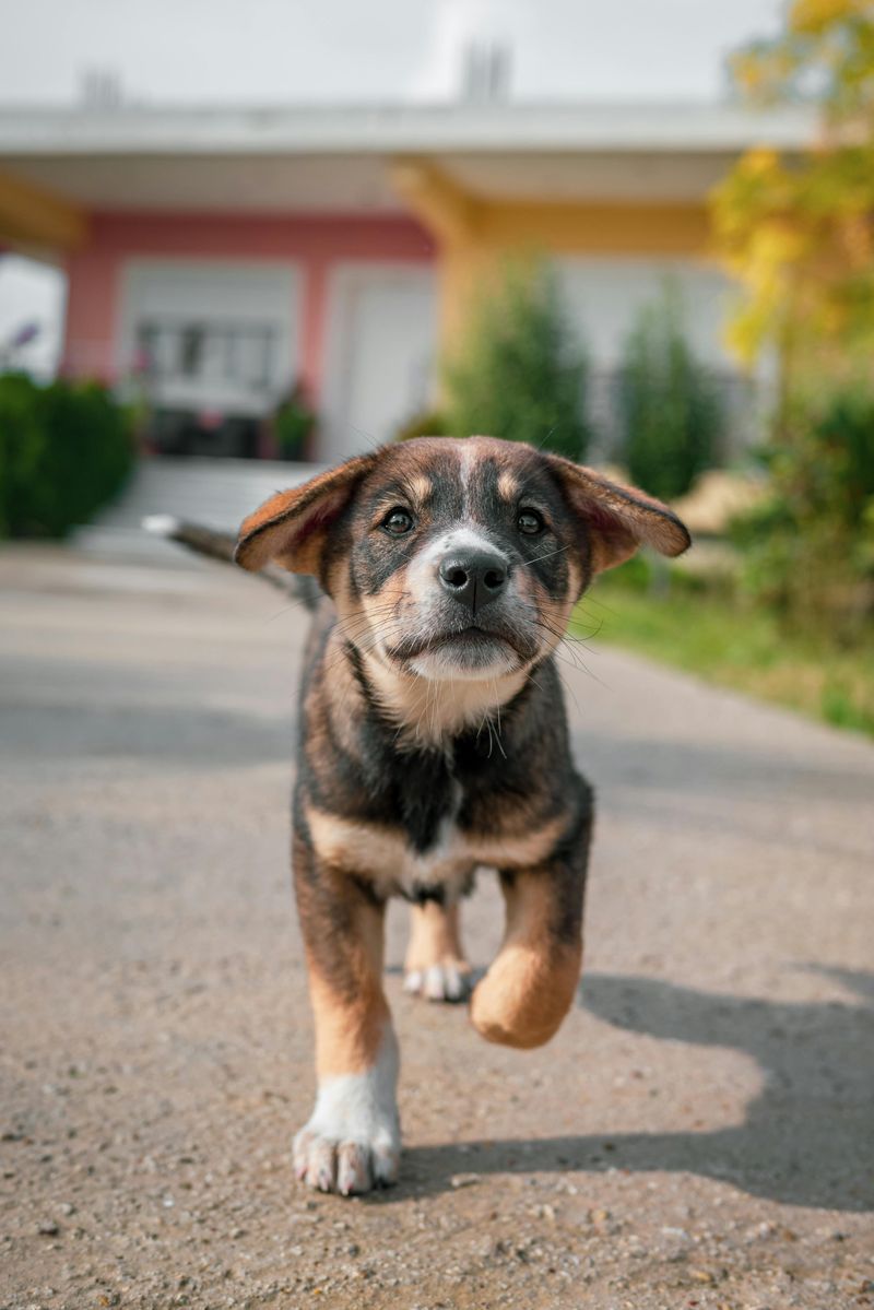 Showing Curiosity