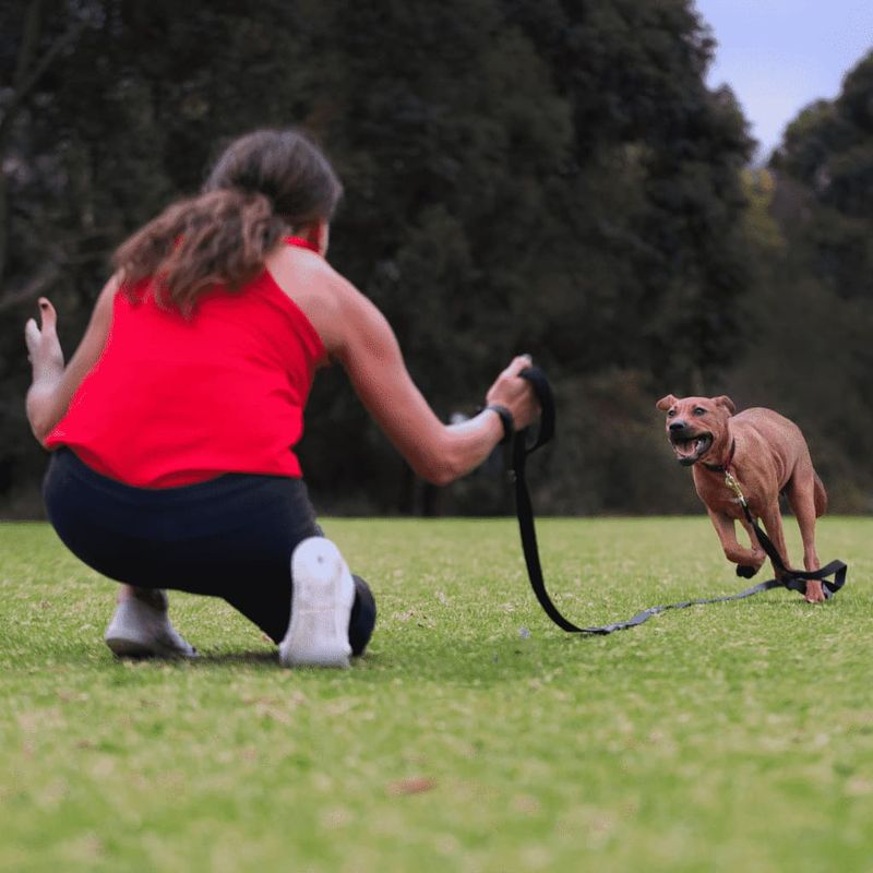 Use a Long Leash Initially