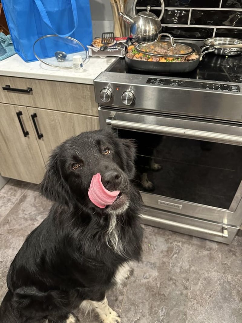 Culinary Curiosity