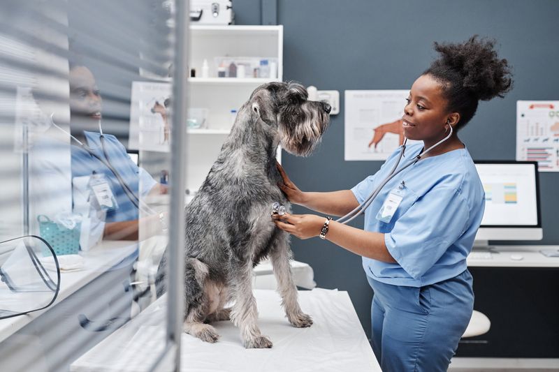 Addressing Health Concerns