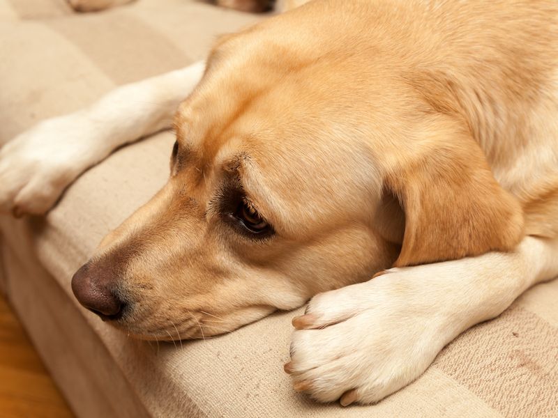 Lethargy and Fatigue