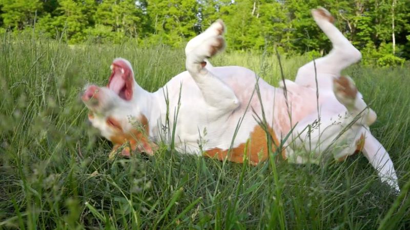 Rolling Over Frequently