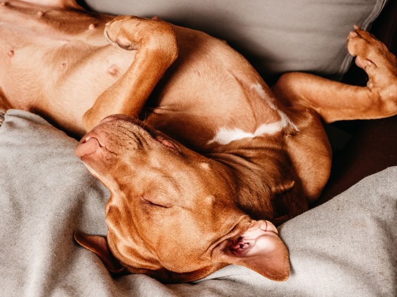 Relaxed Body Language