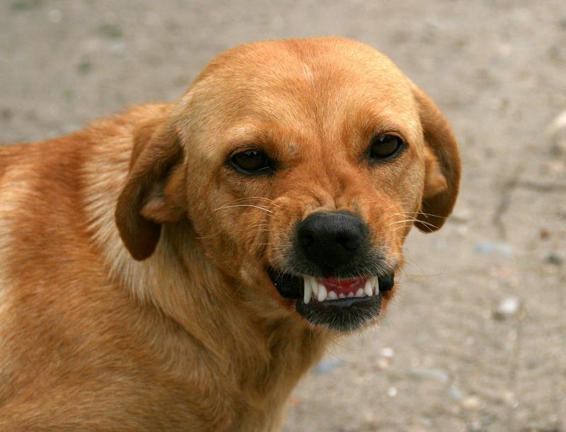 Submissive Grin