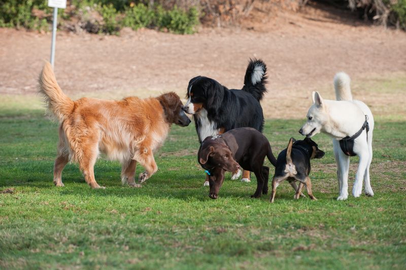 The Power of Socialization