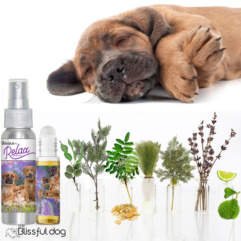 Try Aromatherapy