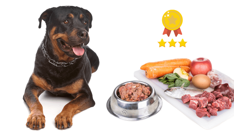 Dietary Needs: Nutritional Balance