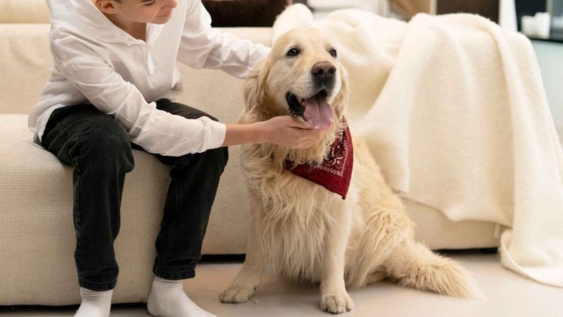 Encourage Gentle Interactions