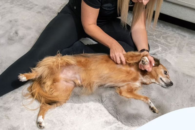 Gentle Massages