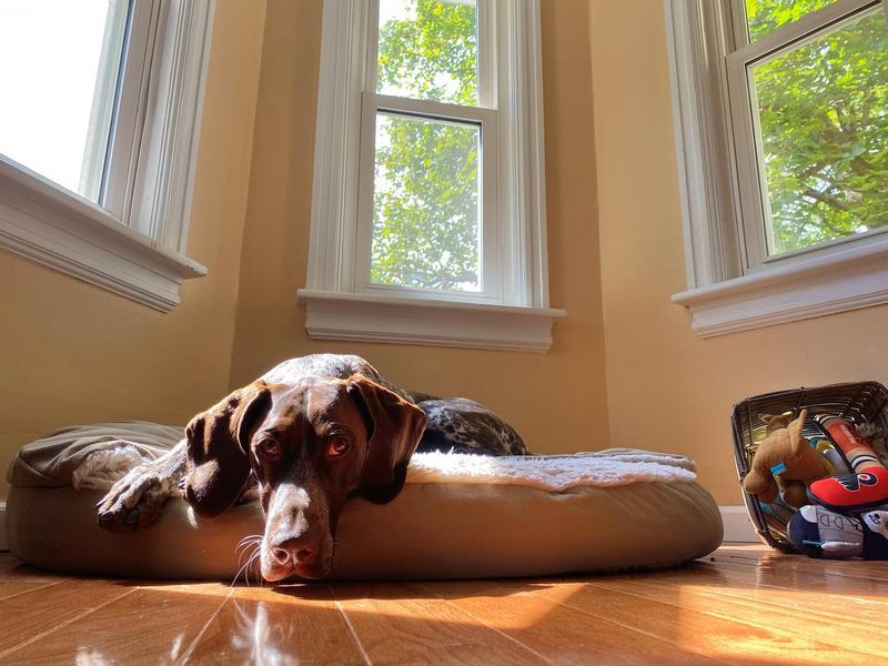 Comfortable Resting Areas