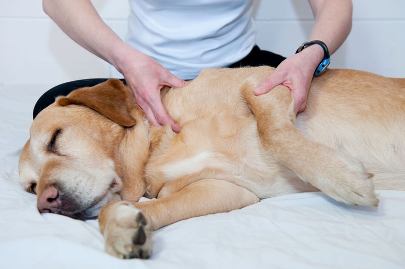 Massage Therapy
