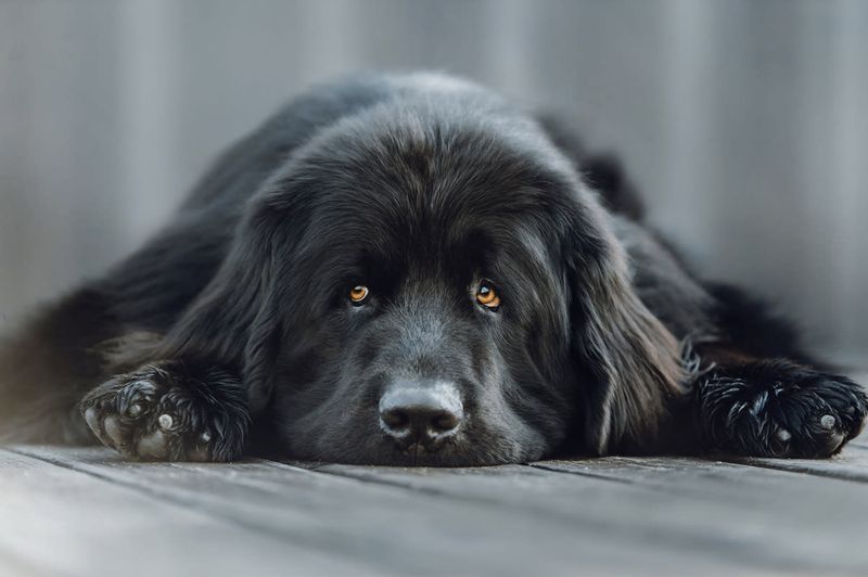 Gentle Sadness