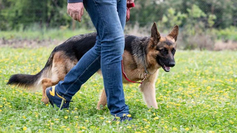 Protective Behavior