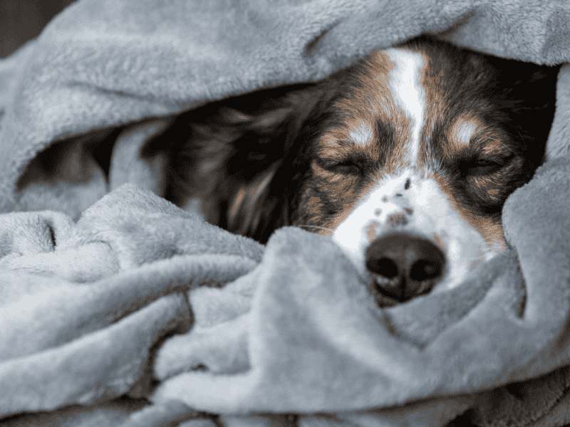Changes in Sleep Patterns