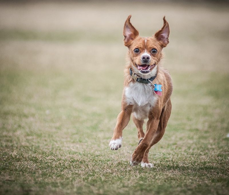 Lively and Energetic
