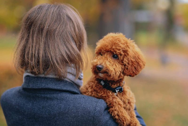 Comforting Presence