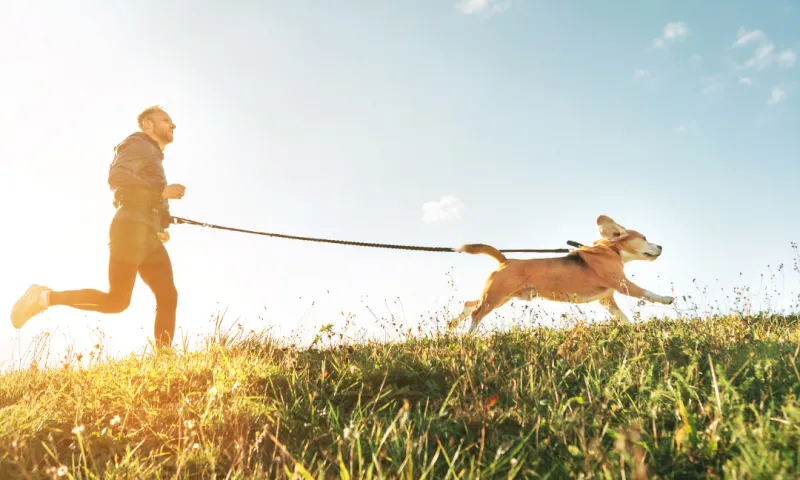 Neglecting Exercise Needs