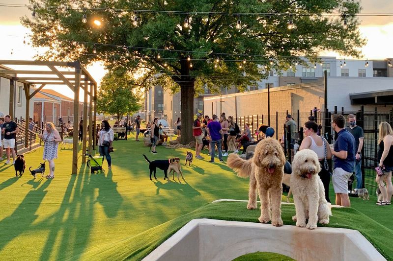 Canine Craft Brewery