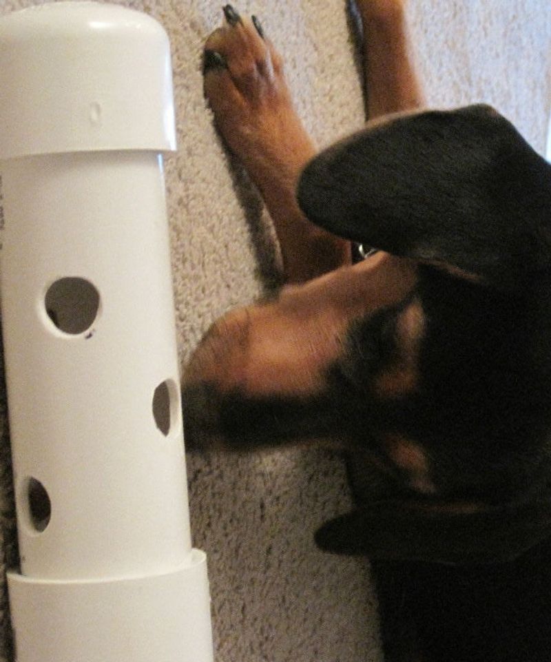 PVC Pipe Puzzle
