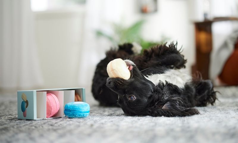 Sharing Toys