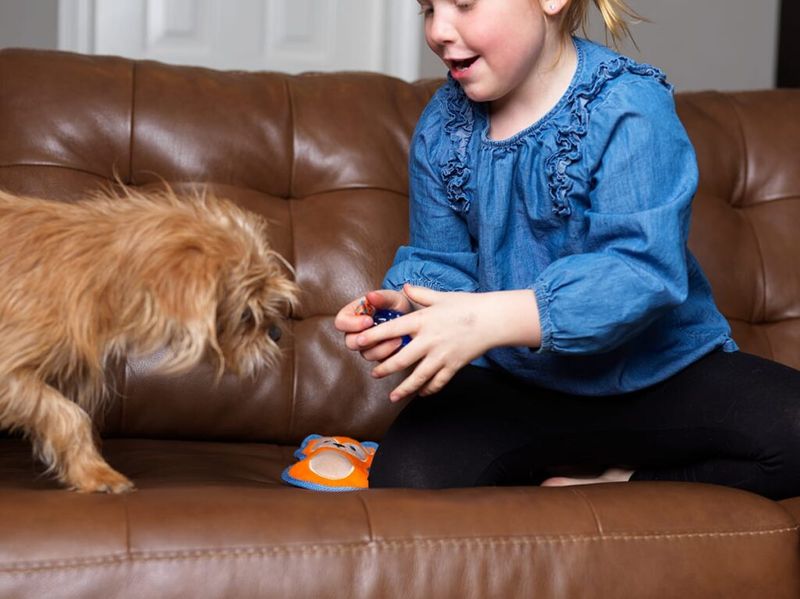 Bringing You Their Favorite Toy