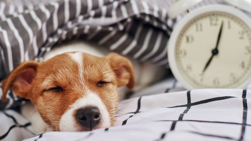 Neglecting Routine