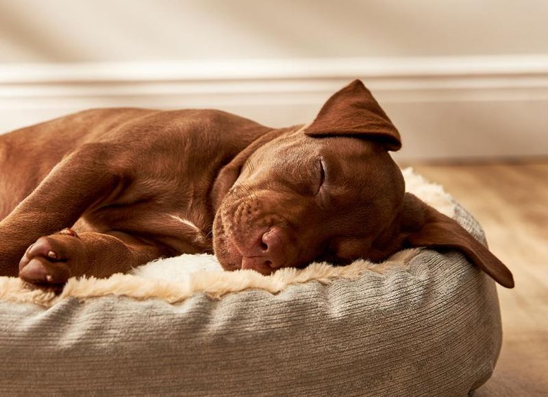 Changes in Sleep Patterns