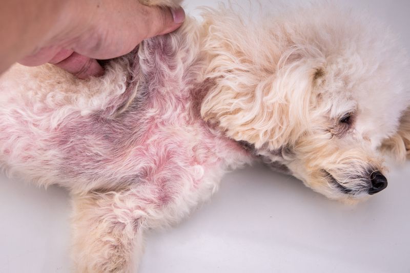 Skin Issues