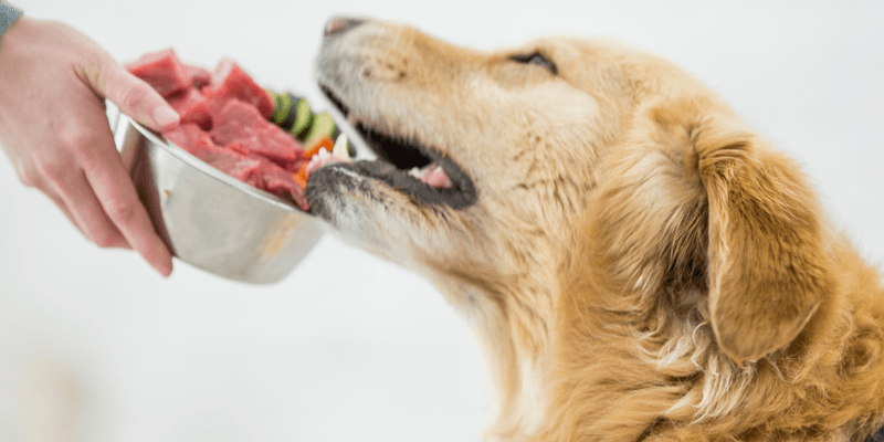 Nutrition Matters