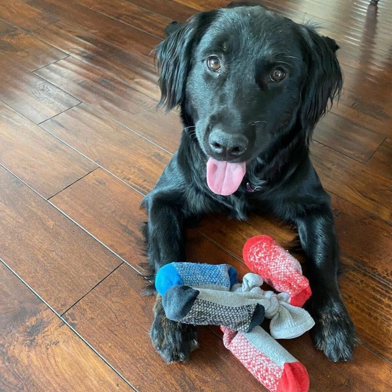 Sock Treat Ball