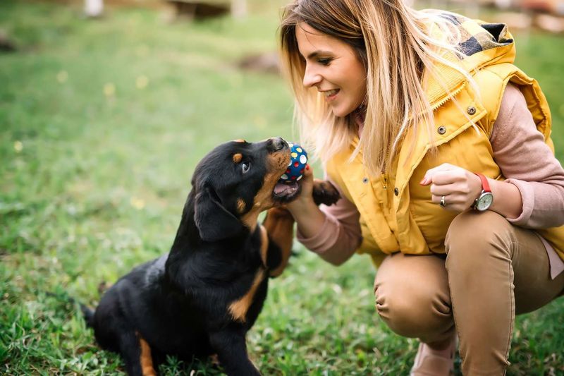 Playful Engagement